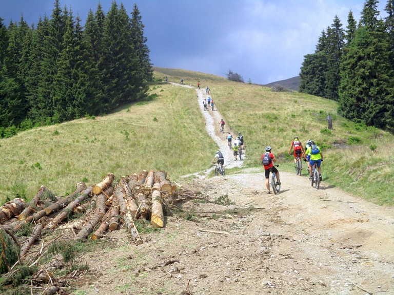 tabara mountain bike